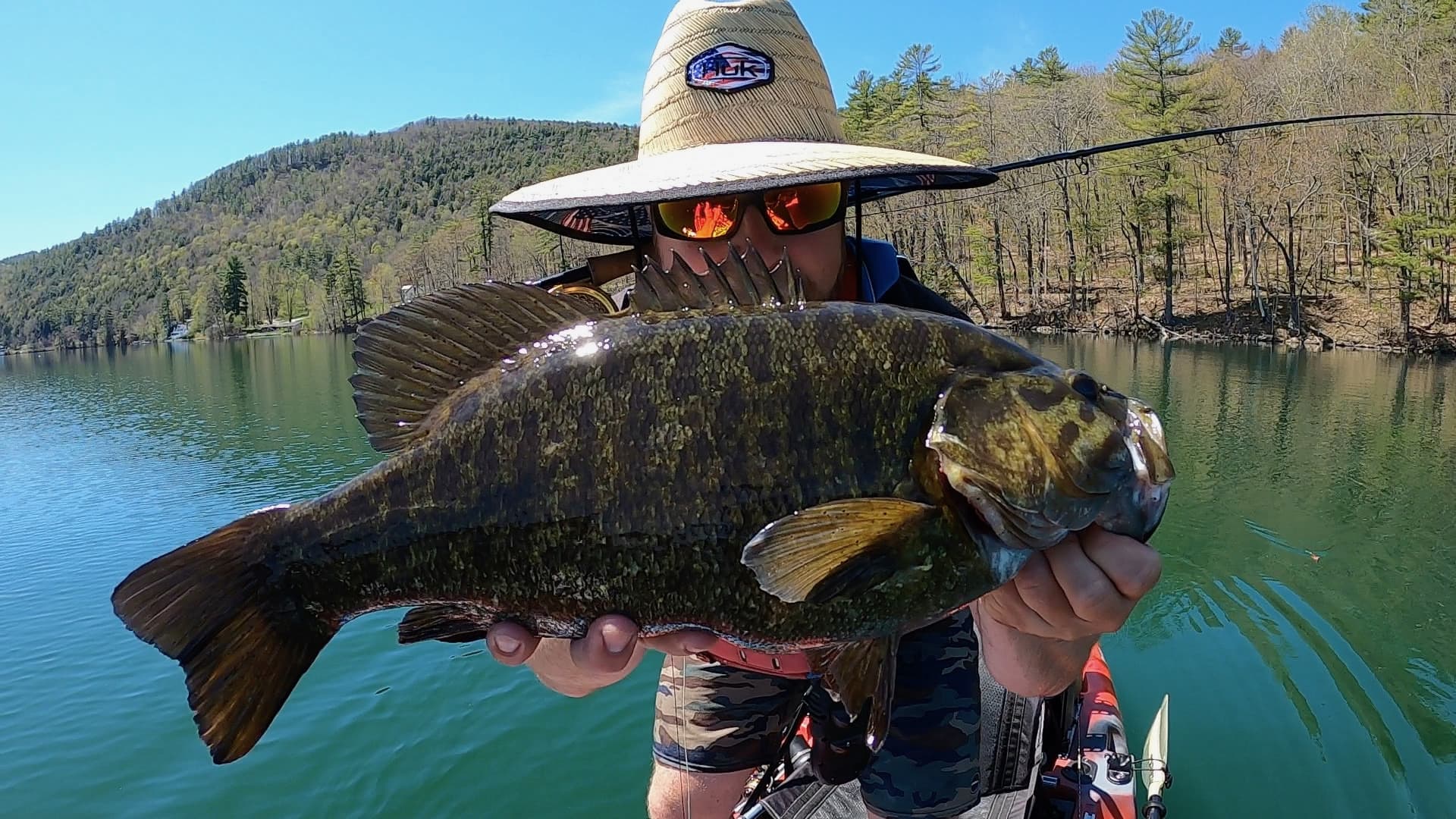 Close-up of northern pike caught on fly fishing tackle