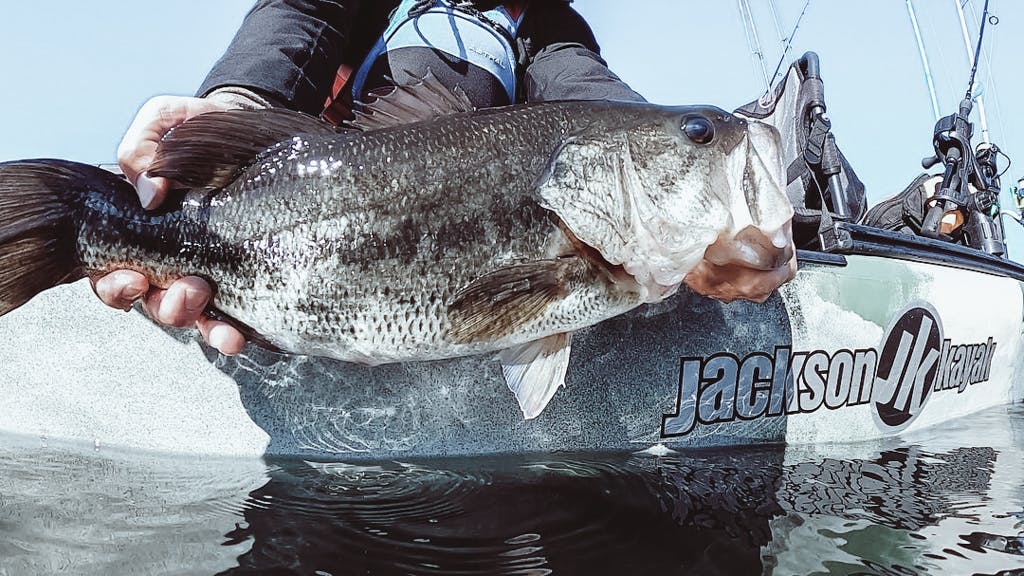Fish being held out of water with Jackson Kayak text on kayak